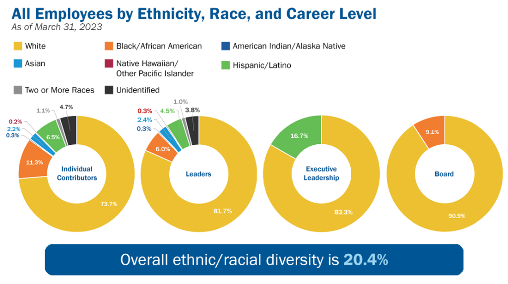 All Employees by Ethnicity, Race, and Career Level