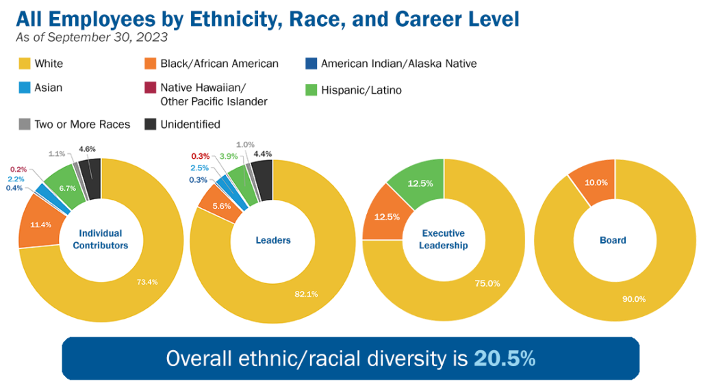 All employees by ethnicity, race, and career level