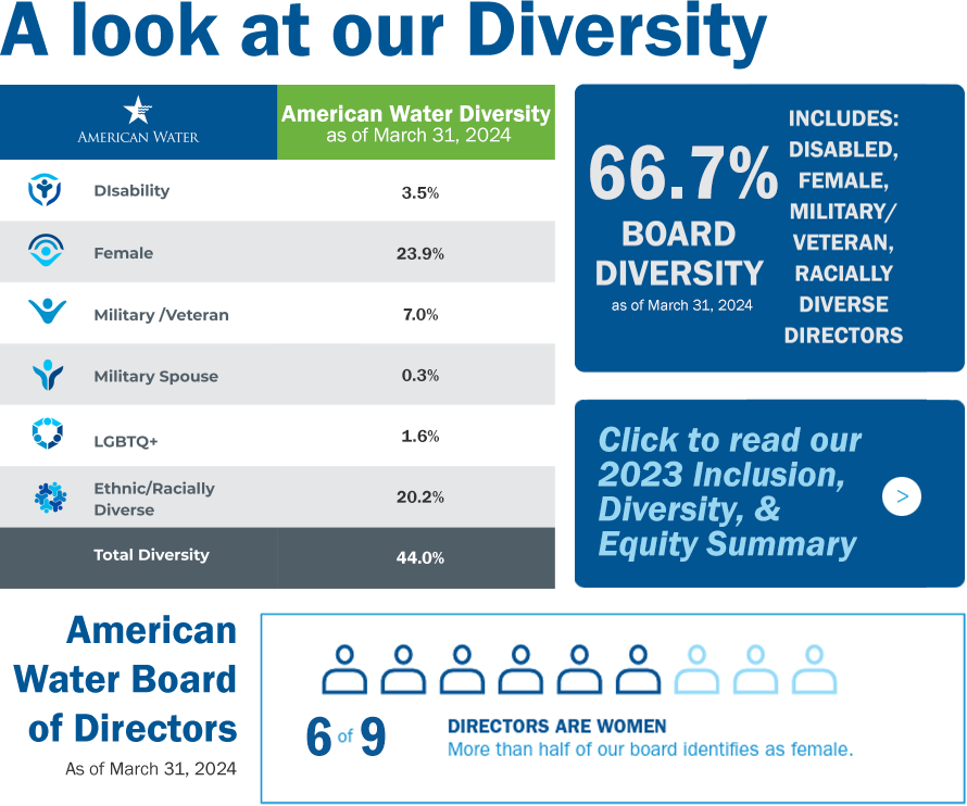 American Water overall diversity metrics.